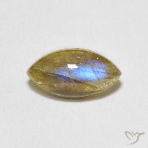 1.44ct طبيعي متعدد الألوان لابرادوريت, ماركيز, نصف شفاف