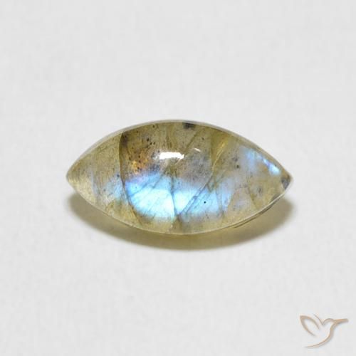 1.59ct طبيعي متعدد الألوان لابرادوريت, ماركيز, نصف شفاف