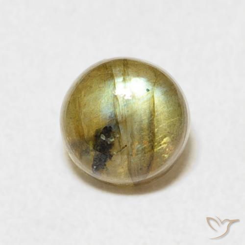 1.14ct طبيعي متعدد الألوان لابرادوريت, دائري, نصف شفاف