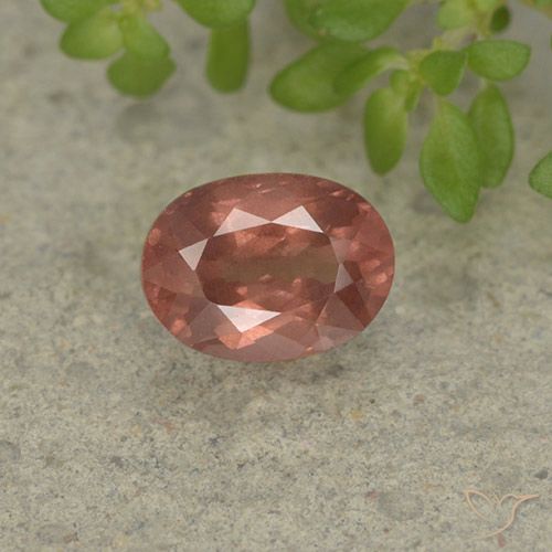 1.27ct طبيعي وردى توت العليق مالايا العقيق, بيضوي, قليلا جدا