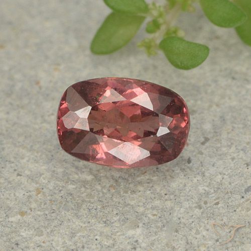 0.61ct طبيعي وردى متوسط مالايا العقيق, وسادة, قليلا جدا
