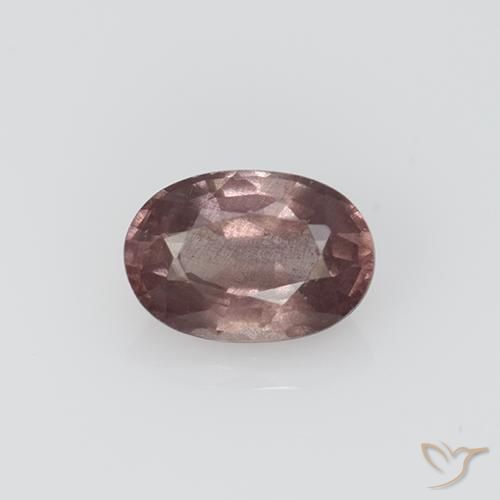 0.70ct طبيعي وردى خشب الورد غامق مالايا العقيق, بيضوي, قليلا جدا