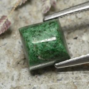 ماو-سيت-سيت أخضر غامق طبيعي، مربع، 1.70 قيراط، غير شفاف