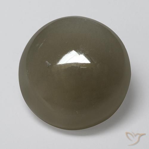16.89ct طبيعي بنى رمادى حجر القمر, دائري, نصف شفاف