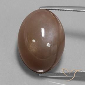 36.79ct طبيعي بنى إسبرسو حجر القمر, بيضوي, غير شفاف