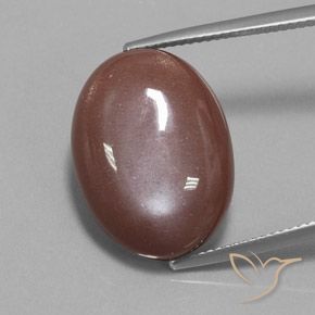 19.73ct طبيعي بنى القرفة حجر القمر, بيضوي, غير شفاف