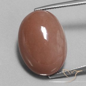 25.17ct طبيعي بنى دافئ حجر القمر, بيضوي, غير شفاف