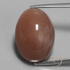 25.38ct طبيعي بنى حجر القمر, بيضوي, غير شفاف
