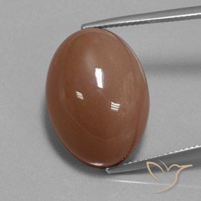 30.83ct طبيعي بنى حجر القمر, بيضوي, غير شفاف
