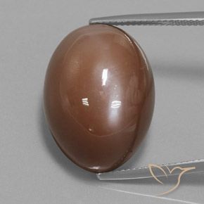 31.30ct طبيعي بنى دافئ حجر القمر, بيضوي, غير شفاف