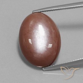 18.74ct طبيعي بنى القرفة حجر القمر, بيضوي, غير شفاف