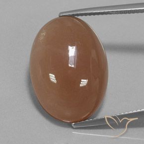19.57ct طبيعي بنى متوسط حجر القمر, بيضوي, نصف شفاف