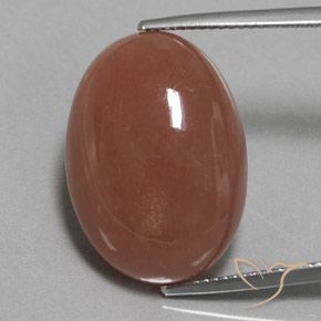 22.59ct طبيعي بنى متوسط حجر القمر, بيضوي, غير شفاف