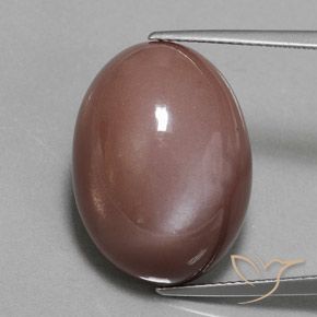 23.55ct طبيعي بنى متوسط حجر القمر, بيضوي, غير شفاف