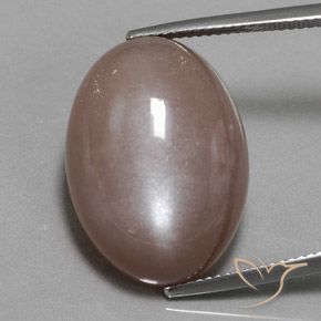 25.09ct طبيعي البني الفاتح حجر القمر, بيضوي, غير شفاف