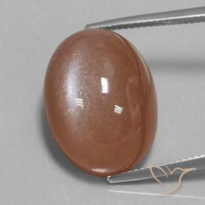 24.75ct طبيعي بنى دافئ حجر القمر, بيضوي, غير شفاف