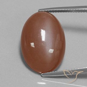 15.54ct طبيعي بنى القرفة حجر القمر, بيضوي, غير شفاف