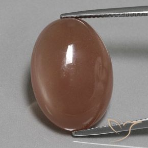 18.61ct طبيعي بنى متوسط حجر القمر, بيضوي, نصف شفاف