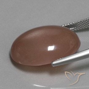 حجر القمر بنى متوسط طبيعي، بيضوي، 18.61 قيراط، نصف شفاف