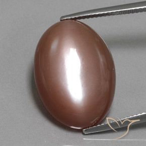 19.77ct طبيعي بنى دافئ حجر القمر, بيضوي, غير شفاف