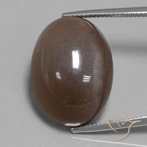 30.12ct طبيعي بنى شيكولاتى حجر القمر, بيضوي, غير شفاف