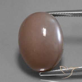 24.60ct طبيعي بنى فاتح-متوسط حجر القمر, بيضوي, نصف شفاف