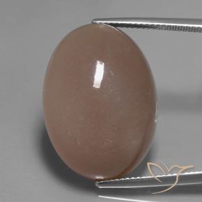27.83ct طبيعي البني الفاتح حجر القمر, بيضوي, نصف شفاف