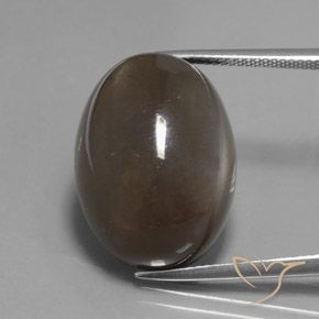 27.12ct طبيعي بنى العنبر حجر القمر, بيضوي, نصف شفاف