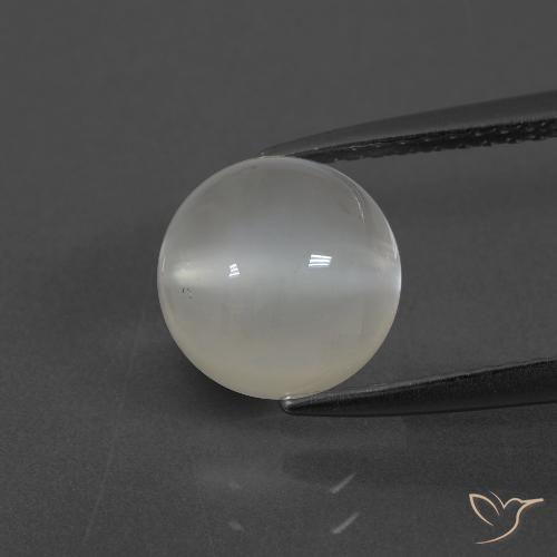2.43ct طبيعي أبيض دافئ حجر القمر, دائري, نصف شفاف