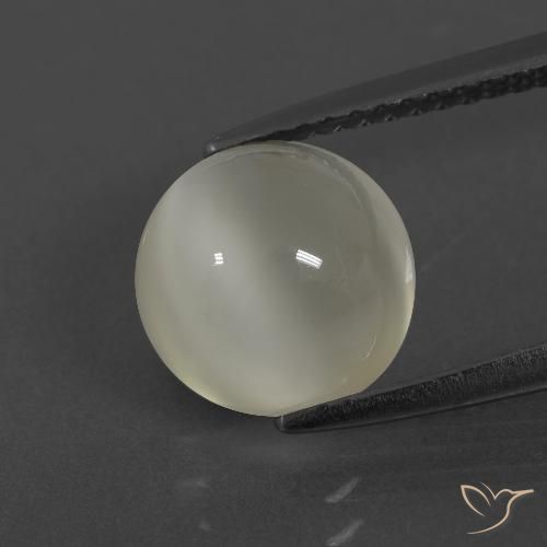 2.84ct طبيعي أبيض دافئ حجر القمر, دائري, نصف شفاف