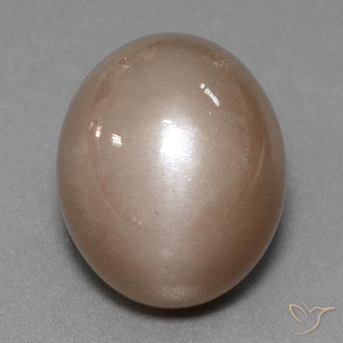 41.53ct طبيعي بنى محايد حجر القمر, بيضوي, غير شفاف