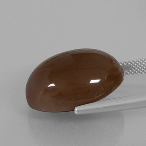 حجر القمر طبيعي بلون بنى شيكولاتى، وزن ‎20.25‎ قيراط، شكل بيضاوى، مقاس ‎20.2x15‎ مم