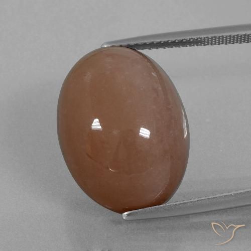 21.86ct طبيعي بنى حجر القمر, بيضوي, غير شفاف