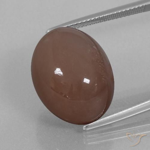 25.76ct طبيعي بنى إسبرسو حجر القمر, بيضوي, غير شفاف