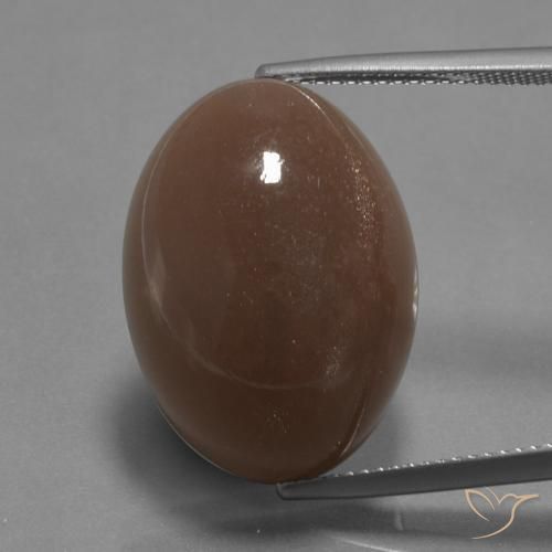 22.67ct طبيعي بنى متوسط حجر القمر, بيضوي, غير شفاف