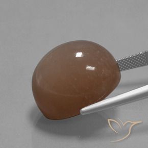 حجر القمر بنى متوسط طبيعي، بيضوي، 34.59 قيراط، غير شفاف