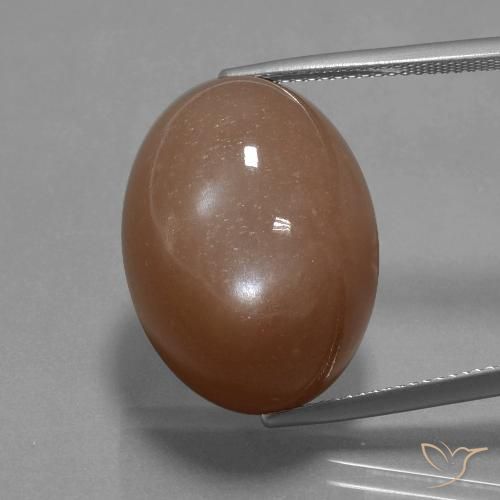 32.77ct طبيعي بنى دافئ حجر القمر, بيضوي, غير شفاف