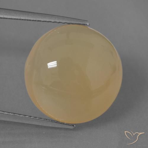 14.62ct طبيعي ذهبى خوخى فاتح حجر القمر, دائري, نصف شفاف