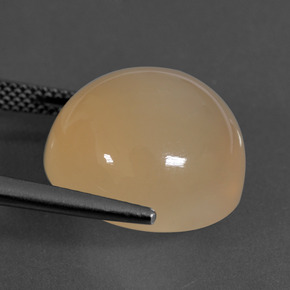 حجر القمر برتقالى متوسط طبيعي، قصة دائرى، 16.94 قيراط، نصف شفاف