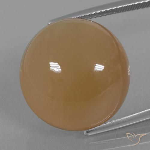 23.98ct طبيعي بنى الفول السودانى فاتح حجر القمر, دائري, نصف شفاف