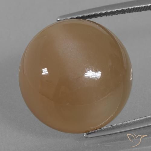 21.98ct طبيعي بنى برتقالى حجر القمر, دائري, نصف شفاف