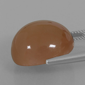 حجر القمر بنى دافئ طبيعي، قصة دائرى، 23.28 قيراط، نصف شفاف