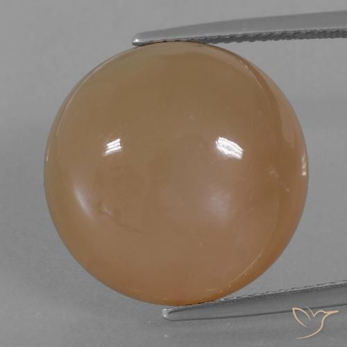 23.89ct طبيعي بنى كراميل حجر القمر, دائري, نصف شفاف