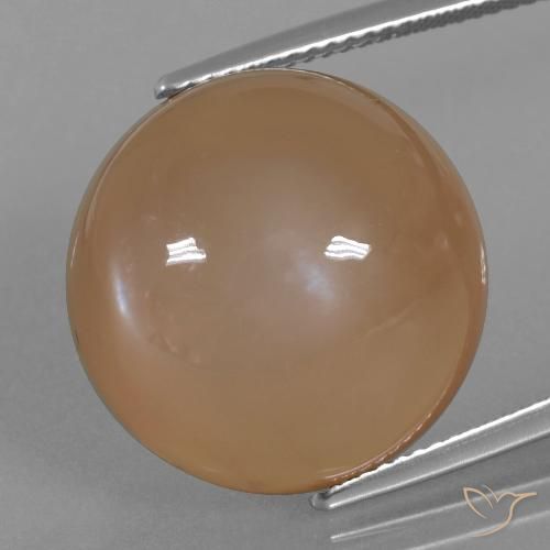 24.65ct طبيعي بنى كراميل حجر القمر, دائري, نصف شفاف