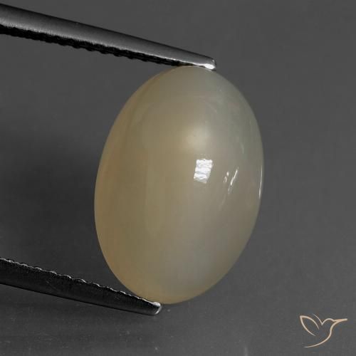 6.82ct طبيعي بنى التورتيا فاتح حجر القمر, بيضوي, نصف شفاف