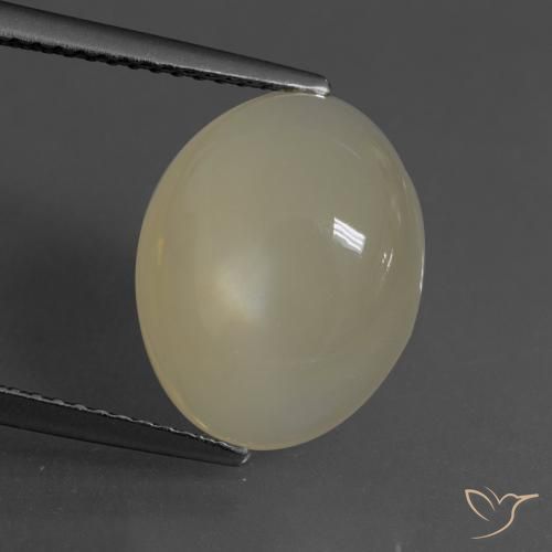 6.24ct طبيعي بنى الفهوة فاتح حجر القمر, بيضوي, نصف شفاف