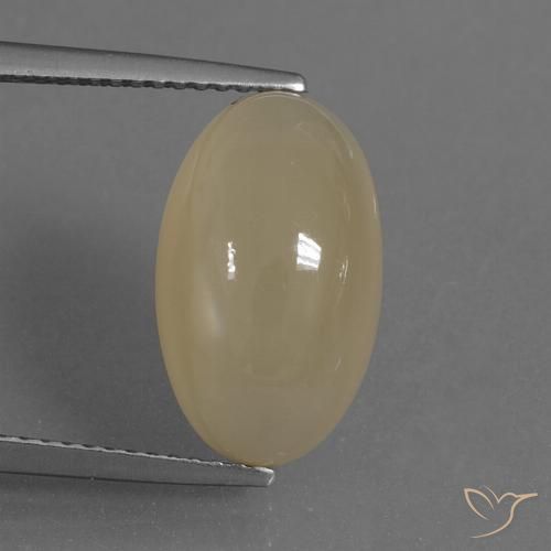 7.30ct طبيعي بنى الفهوة فاتح حجر القمر, بيضوي, نصف شفاف
