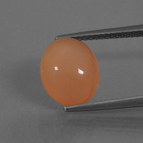 حجر القمر برتقالي فاتح طبيعي، قصة بيضاوى، 4.51 قيراط، نصف شفاف