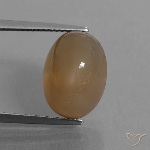9.55ct طبيعي بنى كراميل فاتح حجر القمر, بيضوي, نصف شفاف
