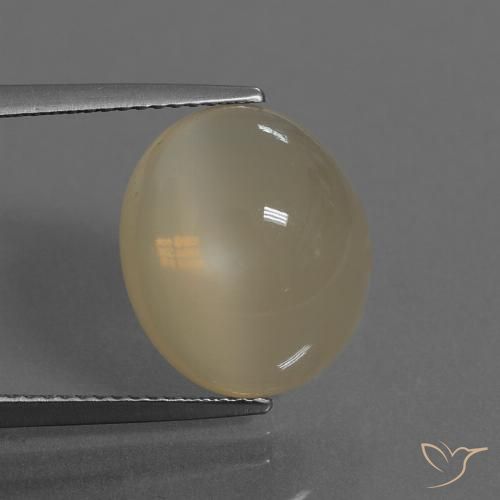 7.46ct طبيعي بنى الفهوة فاتح حجر القمر, بيضوي, نصف شفاف